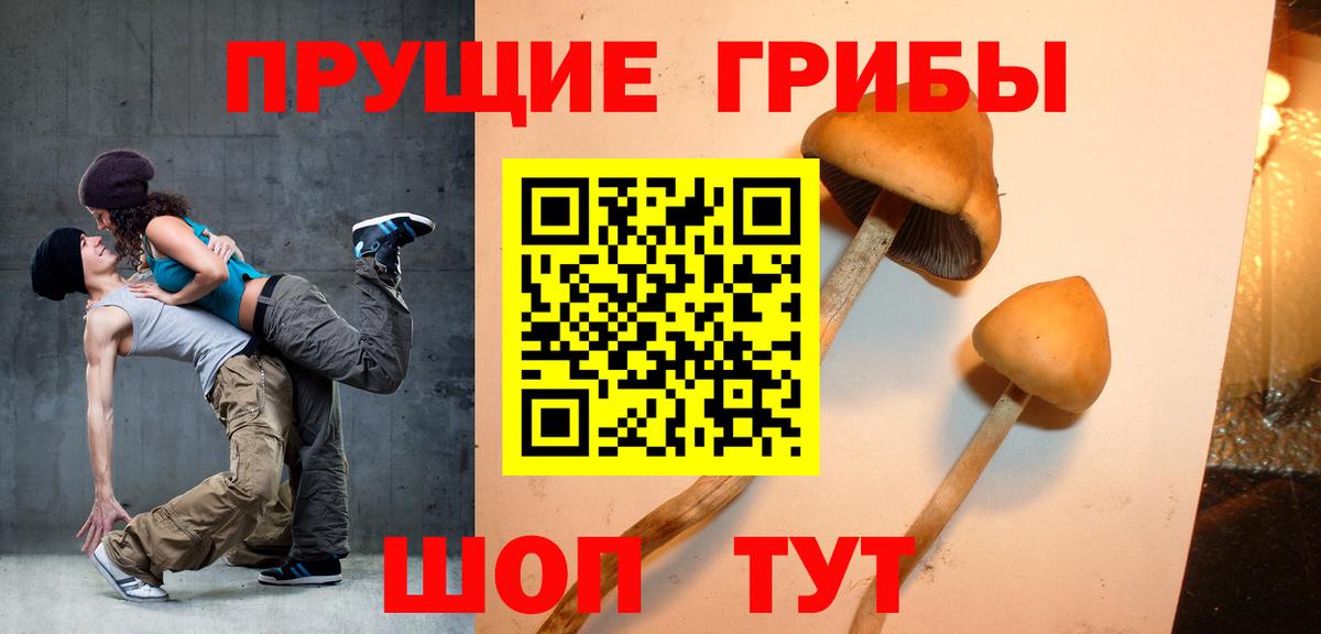 Галлюциногенные грибы MAGIC MUSHROOMS  Галлюциногенные грибы Psilocybe  что такое наркотик  Вход с VPN  Малгобек 
